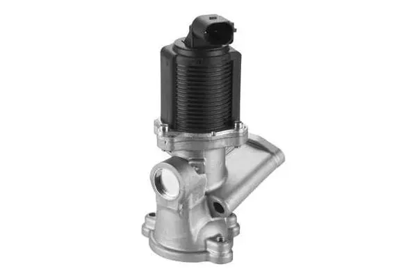 EGR Valve (VA7114)