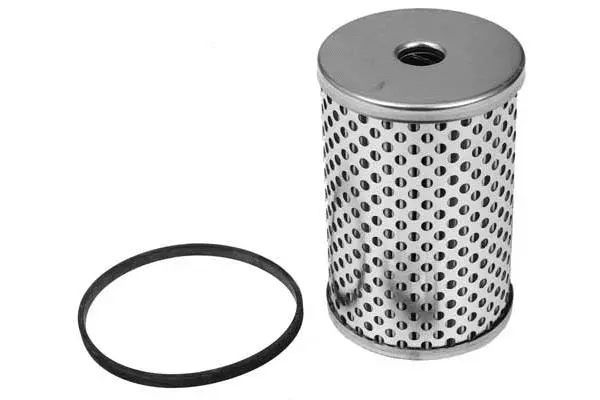 Fuel Filter (FG2029)