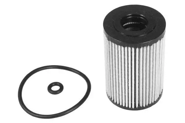 Oil Filter (FH1117)