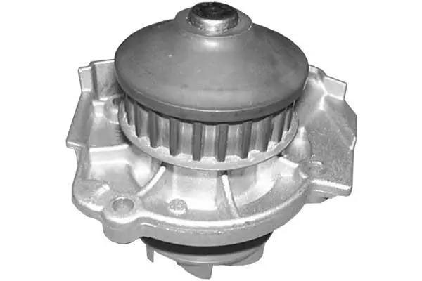 Water Pump, engine cooling (W739)