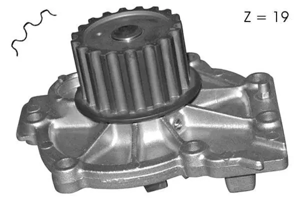 Water Pump, engine cooling (W824)