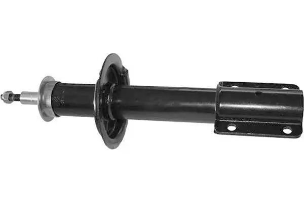 Shock Absorber (AM5169H)