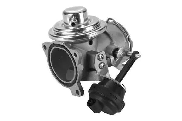 EGR Valve (VA7107)