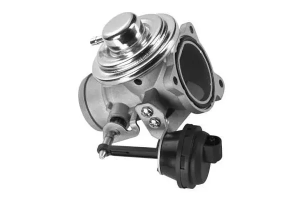 EGR Valve (VA7048)