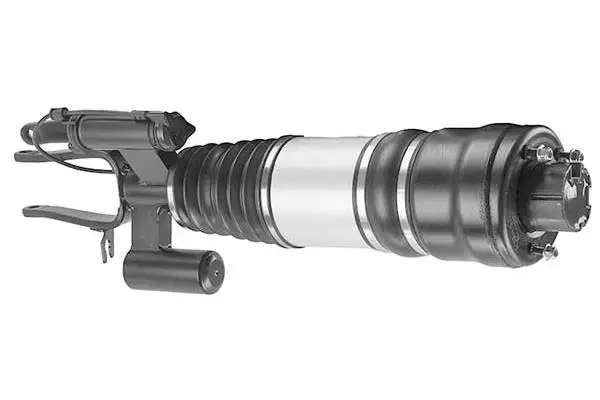 Air Suspension Strut (AMP2011)