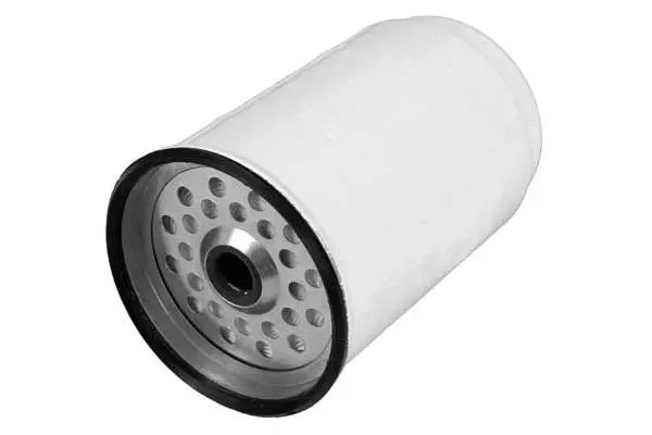 Fuel Filter (FG2065)