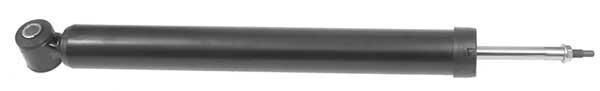 Shock Absorber (AM5953)