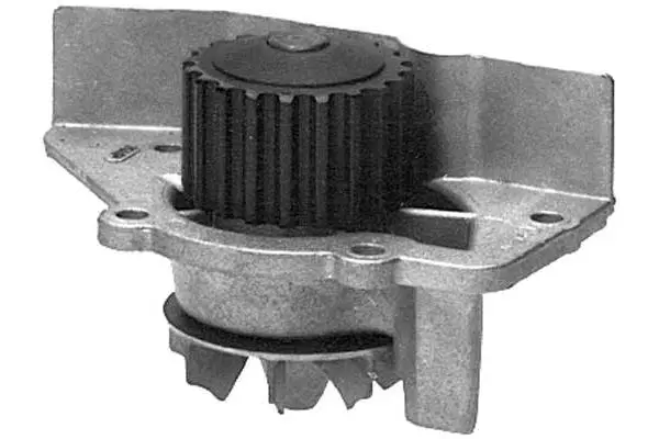 Water Pump, engine cooling (W641)
