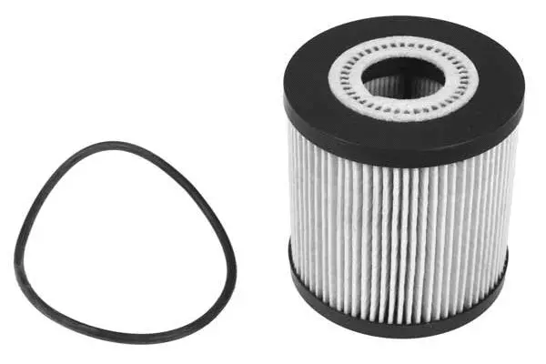 Oil Filter (FH1131)