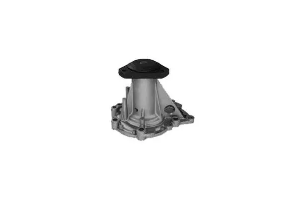 Water Pump, engine cooling (W627)