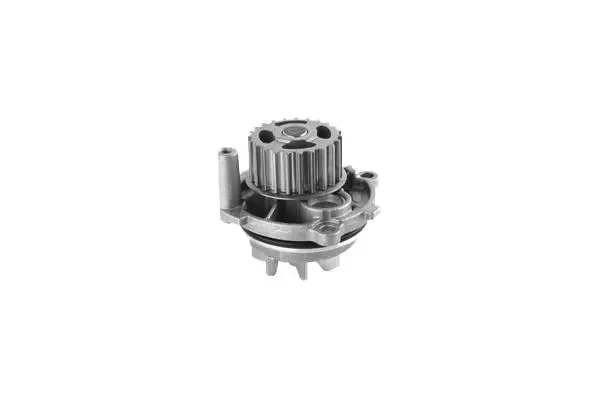 Water Pump, engine cooling (W904)