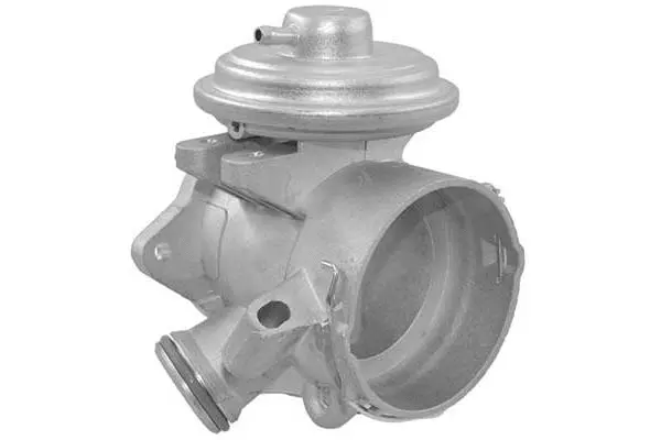 EGR Valve (VA7162)
