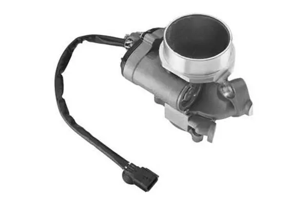 EGR Valve (VA7111)