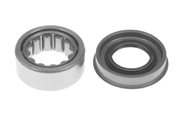 Wheel Bearing Kit (KR3919)