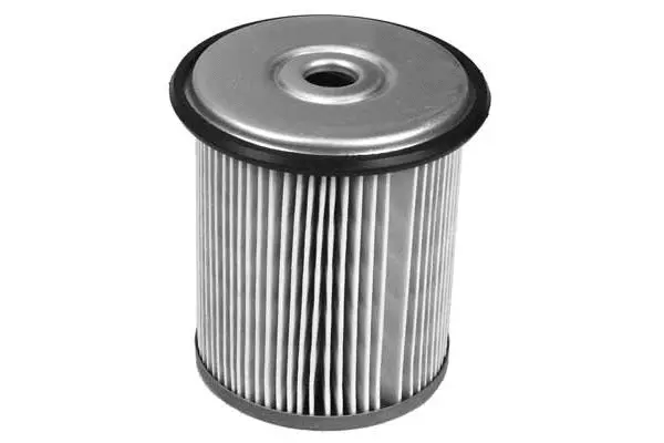 Fuel Filter (FG2057)