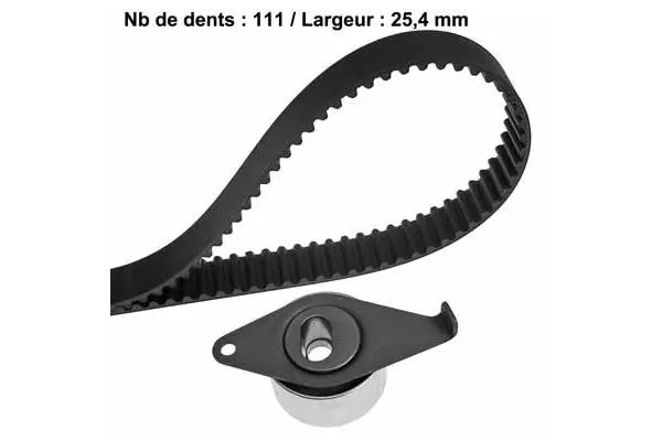 Timing Belt Kit