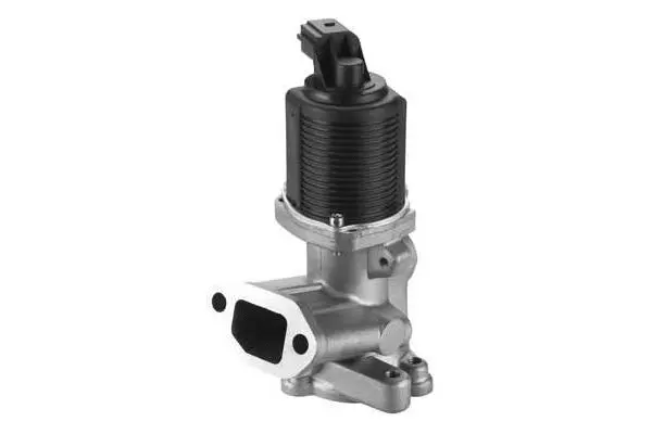 EGR Valve (VA7089)