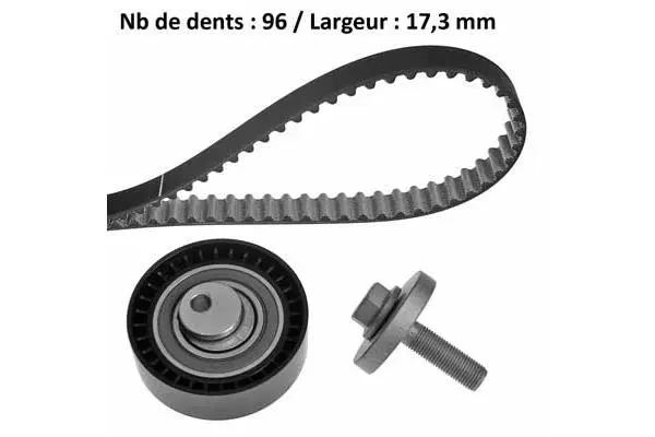 Timing Belt Kit (X654H1)