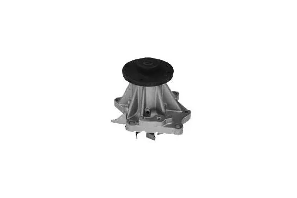 Water Pump, engine cooling (W539)