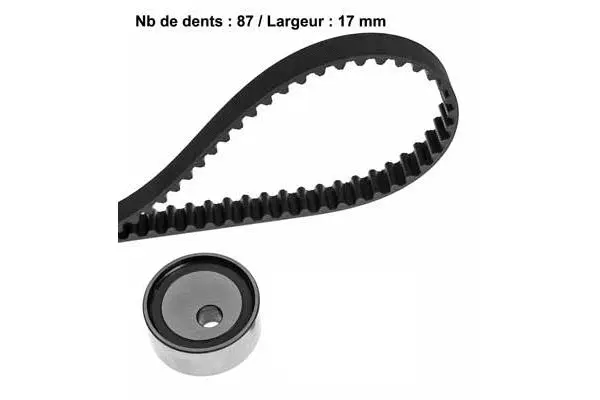 Timing Belt Kit