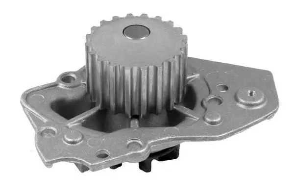Water Pump, engine cooling (W256)