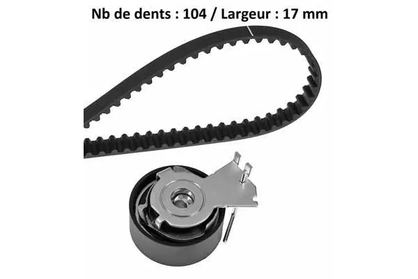 Timing Belt Kit