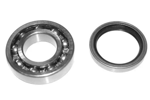 Wheel Bearing Kit (KR3198)