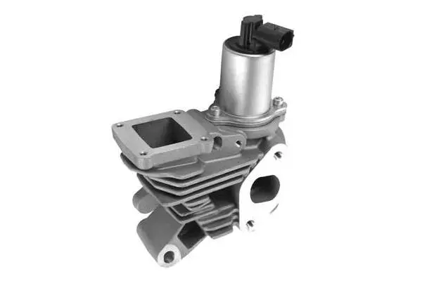 EGR Valve (VA7009)