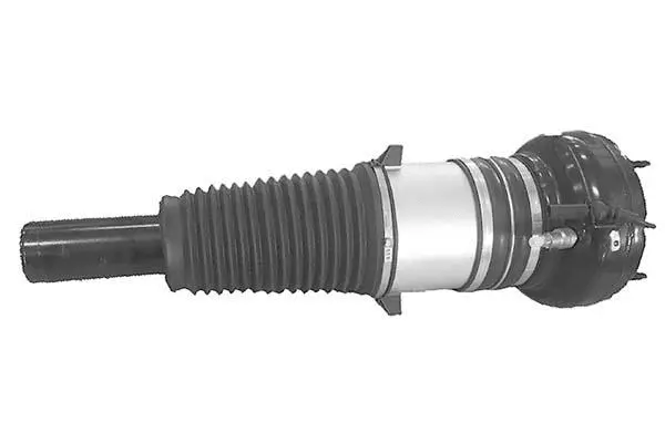 Air Suspension Strut (AMP3004)