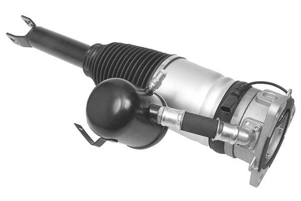 Air Suspension Strut (AMP2003)