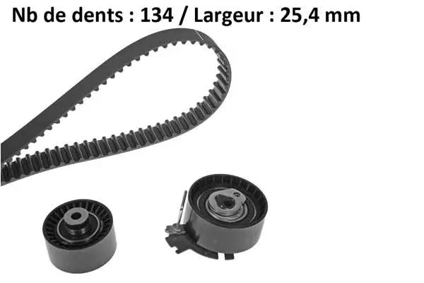 Timing Belt Kit (X569H3)