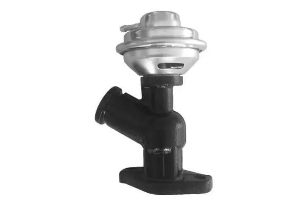 EGR Valve (VA7049)