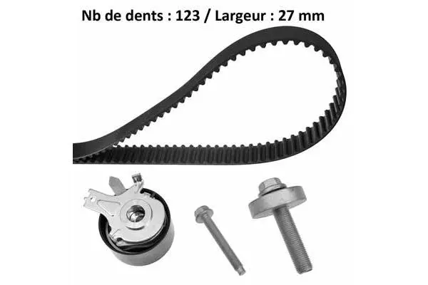 Timing Belt Kit