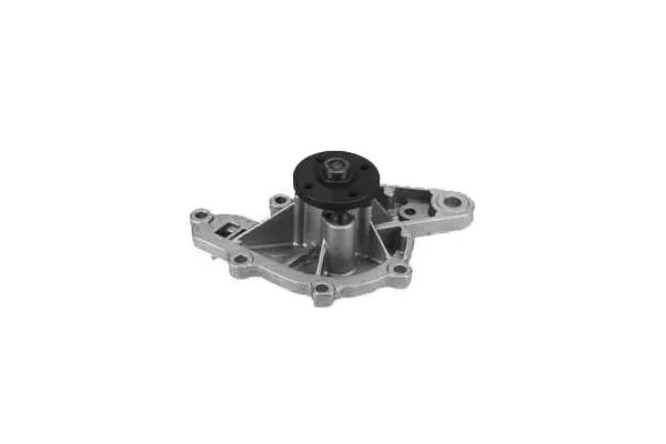 Water Pump, engine cooling (W819)