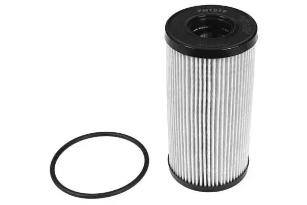 Oil Filter (FH1019)
