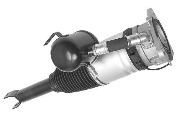 Air Suspension Strut (AMP3003)