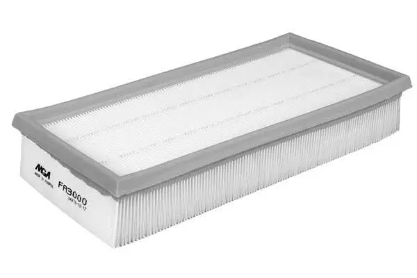 Air Filter (FA3000)