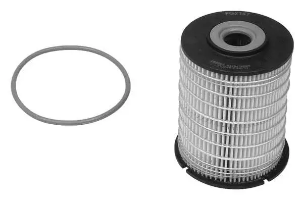 Fuel Filter (FG2167)