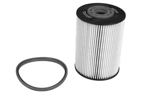 Fuel Filter (FG2113)
