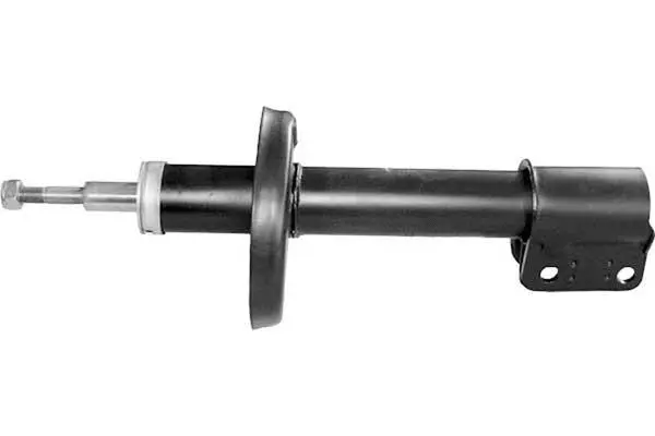Shock Absorber (AM5061)