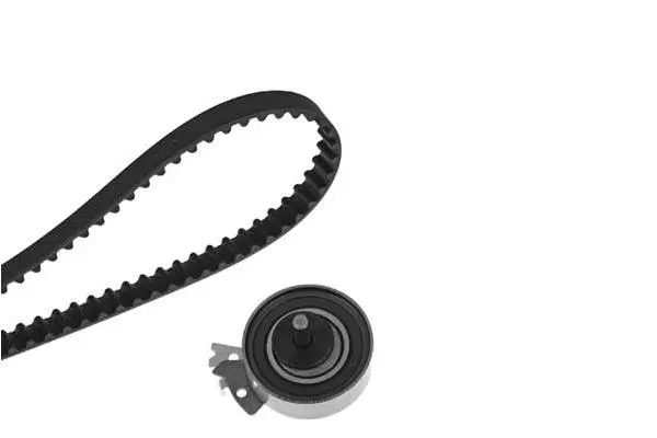 Timing Belt Kit (X116H1)