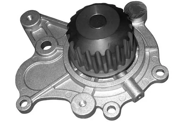 Water Pump, engine cooling (W829)