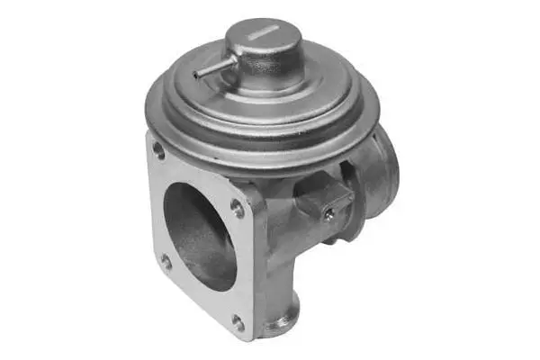 EGR Valve (VA7031)