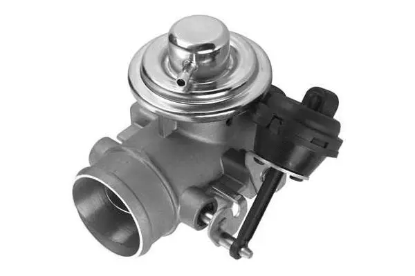 EGR Valve (VA7170)