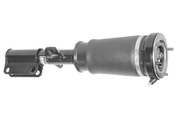 Air Suspension Strut (AMP3009)