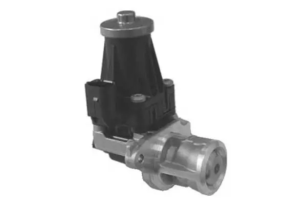 EGR Valve (VA7039)