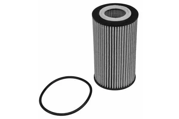 Oil Filter (FH1173)