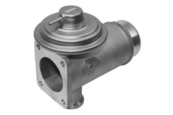 EGR Valve (VA7117)