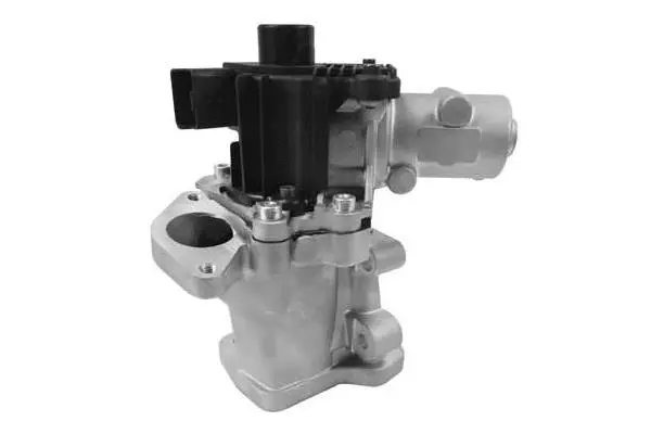 EGR Valve (VA7035)