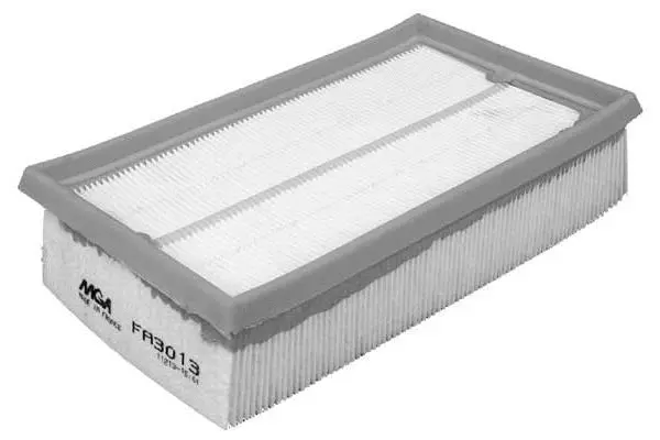 Air Filter (FA3013)